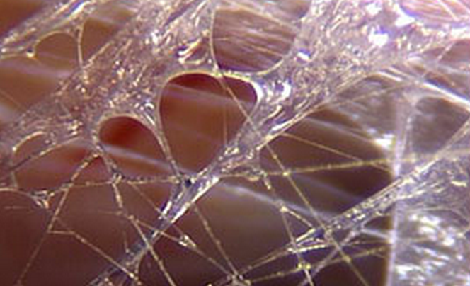 fascia-5